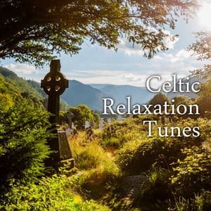 Celtic Relaxation Tunes - Beautiful Ambient Music for the Spa, Sauna, Massage, Hot Baths, Rest and Relaxation, as well as for Yoga and Meditation - Healing Meditation Zone & Pure Spa Massage Music & Serenity Music Relaxation