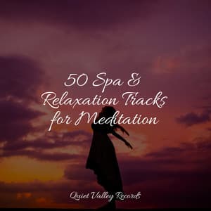 50 Spa & Relaxation Tracks for Meditation - Rain Sound Studio