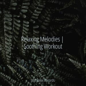 Relaxing Melodies | Soothing Workout - Sonido Del Bosque y Naturaleza