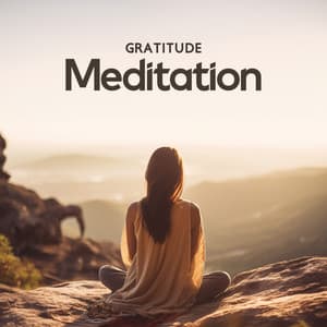 Gratitude Meditation: Visualization, Chakra, Spirit Guide, Zen Yoga Music - Namaste Yoga Collection