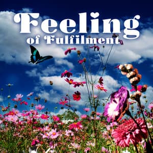 Feeling of Fulfilment - World Music For The New Age