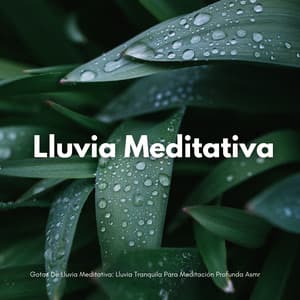 Gotas De Lluvia Meditativa: Lluvia Tranquila Para Meditación Profunda Asmr - Meditación de lluvia