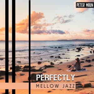 Perfectly Mellow Jazz - Peter Maun