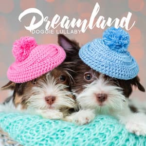 Dreamland Doggie Lullaby: Melodic Therapy for Canine Calmness, Sleep & Anxiety, Tranquil for Happy House Pets - Calm Pets Music Academy