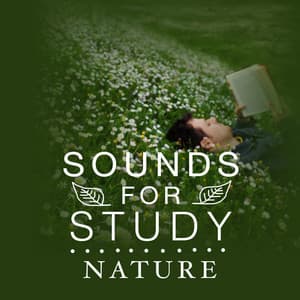 Sounds for Study: Nature - Sounds Of Nature