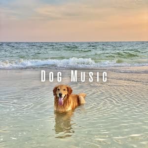 Dog Music: Binaural Theta Waves and Oceanic Harmonies - 101 Sea