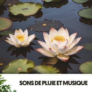 Sons de Pluie et Musique : Une Danse Aquatique de Notes - Relajacion