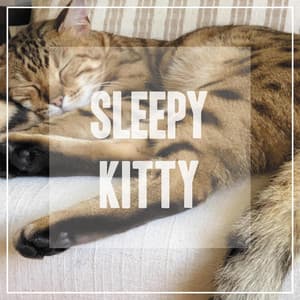 Sleep Music for Cats - Pet Music