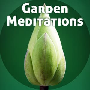 Garden Meditations - Nice Focus, Complete Book of Sounds, Every Morning, Beginning Day with Coffee, Natural Sounds Incentives - Sound Library XL