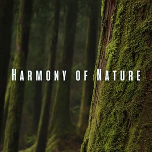 Harmony of Nature: Ambient Sounds for Rebalancing Massages - Gentle Outdoors