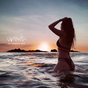 Endless Summer, Euphoric Voyage - DJ Charles EDM
