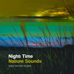 Night Time Nature Sounds - Night Nature Sounds