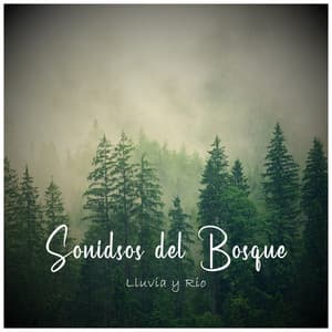 Sonidos del Bosque: Lluvia y Río - Sonidos de Lluvia by BNLXA