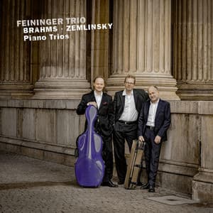 Brahms: Piano Trio No. 3 in C Minor, Op. 101; Zemlinsky: Piano Trio No. 3 in D Minor, Op. 3 - Feininger Trio