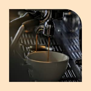 Suave Bgm for The Morning Chill - Chill Out Dinner Jazz