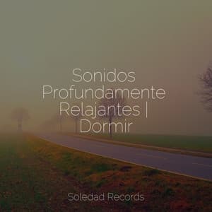 Sonidos Profundamente Relajantes | Dormir - Canciones de Cuna para Bebés Acadèmico