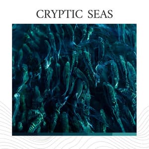 Cryptic Seas - Calm Ocean Sounds