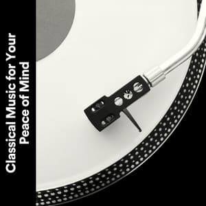 Classical Music for Your Peace of Mind - Brain Power Amadeus