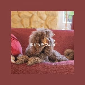 まどろみの足音 - Friday Morning Jazz Chillout