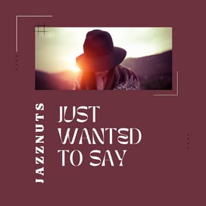 Just Wanted to Say - Jazznuts