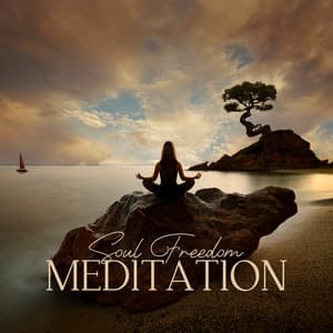 Soul Freedom Meditation: Awaken You Spiritually, Let Go of Old Attachments and Feel Free to Move Forward - Meditation Music Club