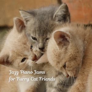 Jazz Piano Jams for Furry Cat Friends - Fun Jazz