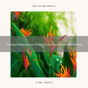 Tension Relieving Sea Water Tunes For Extreme Meditation - Timeless Relax