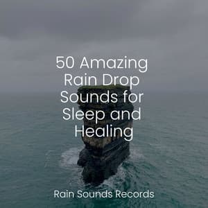 50 Amazing Rain Drop Sounds for Sleep and Healing - Naturaleza Sonidos