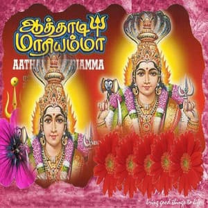 Aathadi Maariyamma - Pushpavanam Kuppusamy
