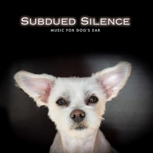 Subdued Silence - Music for Dog's Ear