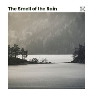 The Smell of the Rain - Pro Sound Effects Library