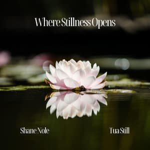Where Stillness Opens - Shane Nole