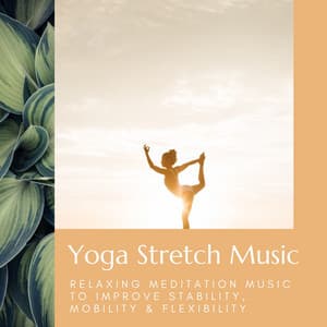 Yoga Stretch Music: Relaxing Meditation Music to Improve Stability, Mobility & Flexibility - Yoga Nidra