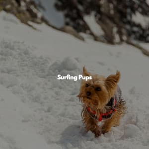 Surfing Pups - Cafe Music