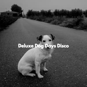 Deluxe Dog Days Disco - Fine Dining Music