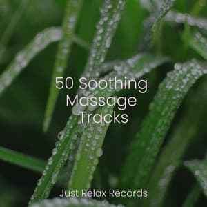 50 Soothing Massage Tracks - Relaxamento