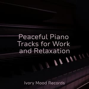 Peaceful Piano Tracks for Work and Relaxation - Ivory Mood