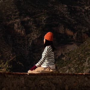 Lofi Meditation Bliss: Soothe Your Soul - Oasis of Meditation