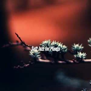 Soft Jazz for Plants - Frühstücksmusik
