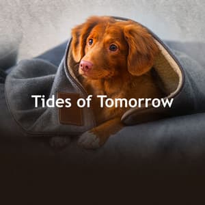 Tides of Tomorrow - Bird Songs
