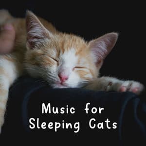 Music for Sleeping Cats - Cat Music Therapy