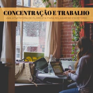 Concentração E Trabalho: Uma Atmosfera De Floresta Para Relaxar No Escritório - #Calmante