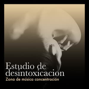 Estudio de desintoxicacion - Zona de música concentración