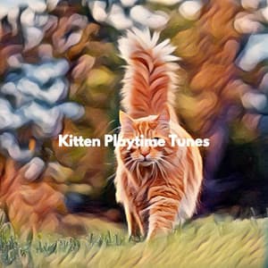 Kitten Playtime Tunes - Smooth Chill Playlist