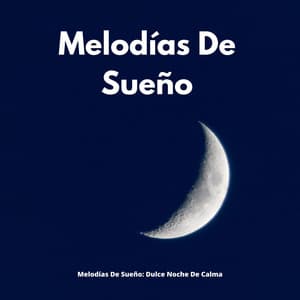 Melodías De Sueño: Dulce Noche De Calma - Tranquilidad Eterna