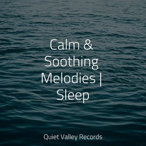Calm & Soothing Melodies | Sleep - Meditative Music Guru