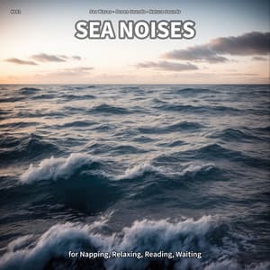 #001 Sea Noises for Napping, Relaxing, Reading, Waiting - Sea Waves