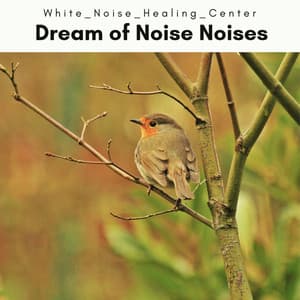 A Dream of Noise Noises - White Noise Healing Center