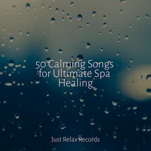 50 Calming Songs for Ultimate Spa Healing - Meditación Guiada