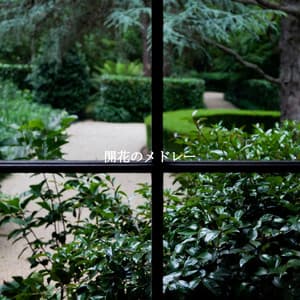 開花のメドレー - Classic Jazz Chill